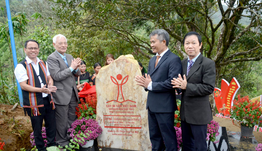 C&acirc;y[-]Quế[-]đầu[-]ti&ecirc;n[-]được[-]c&ocirc;ng[-]nhận[-]C&acirc;y[-]Di[-]sản[-]Việt[-]Nam